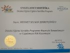 Uzm. Psk. Selman Şerbetçioğlu Psikoloji sertifikası