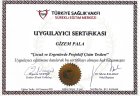 Psk. Gizem Pala Psikoloji sertifikası
