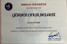 Psk. Dan. Gizem Aydemir Psikolojik Danışman sertifikası
