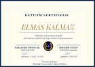 Psk. Dan. Elmas Kalmaz Psikolojik Danışman sertifikası