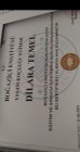 Psk. Dilara Temel Psikoloji sertifikası