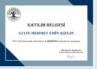 Klinik Psikolog  Mehmet Emin Kızgın Psikoloji sertifikası