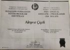 Uzm. Psk. Aleyna Çiçek Psikoloji sertifikası