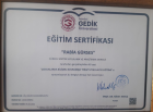 Psk. Dan. Rabia Gürses Psikolojik Danışman sertifikası
