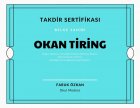 Uzm. Psk. Dan. Okan Tiring Psikolojik Danışman sertifikası