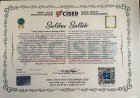 Psk. Dan. Saliha Çiftçi Psikolojik Danışman sertifikası