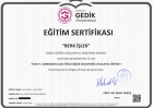 Psk. Berk İşlek Psikoloji sertifikası