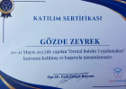 Dt. Gözde Zeyrek Diş Hekimi sertifikası