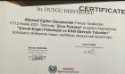 Uzm. Kl. Psk. Duygu Dervişoğlu Psikoloji sertifikası