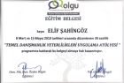 Aile Danışmanı Elif Kaya Şahingöz Çocuk Gelişim Uzmanı sertifikası