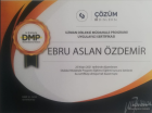 Çocuk Gelişim Ebru Aslan Özdemir Çocuk Gelişim sertifikası