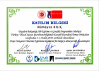 Psk. Rümeysa Kılıç Psikoloji sertifikası