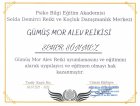 Uzman Dil ve Konuşma Terapisti Seher Sönmez Psikolojik Danışman sertifikası