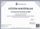 Uzm. Psk. Dan. Seydenur Özsemiz Şerif Psikolojik Danışman sertifikası