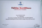 Psk. Ezginur Ayhan Psikoloji sertifikası