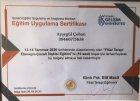 Psk. Ayşegül Ayvaz Psikoloji sertifikası