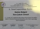 Op. Dr. Esra Çabuk Cömert Kadın Hastalıkları ve Doğum sertifikası