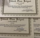 Psk. Cansu Sarıtaş Psikoloji sertifikası