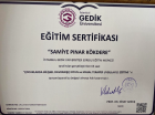 Psk. Pınar Kökdere Psikoloji sertifikası