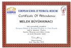 Op. Dr. Melek Büyükkınacı Erol Kadın Hastalıkları ve Doğum sertifikası