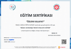 Psk. Özlem Kalafat Psikoloji sertifikası