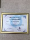 Psk. Melek Demir Psikoloji sertifikası