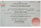 Dr. Dt. Alper Temiz Diş Hekimi sertifikası