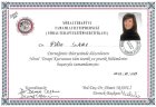 Uzm. Dr. Filiz SARI Anestezi ve Reanimasyon sertifikası
