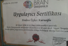 Psk. Firdevs Ückoz Kuruoğlu Psikoloji sertifikası
