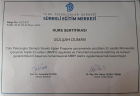 Psk. Gülşah Duman Psikoloji sertifikası