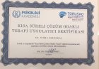 Uzm. Kl. Psk. Tuğba Sarısakal Psikoloji sertifikası