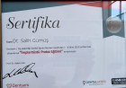 Dt. Salih Gümüş Diş Hekimi sertifikası