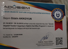 Psk. Güzin Akkoyun Psikoloji sertifikası