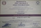 Op. Dr. Nurettin Ersöz İnce Kadın Hastalıkları ve Doğum sertifikası