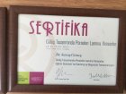 Dr. Dt. Savaş Güneş Diş Hekimi sertifikası
