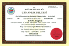 Prof. Dr. Emine Uluğ Kaygısız Diş Hekimi sertifikası