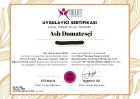 Psk. Aslı Domatesçi Psikoloji sertifikası