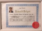 Op. Dr. Gülay Bozkurt Beyin ve Sinir Cerrahisi sertifikası