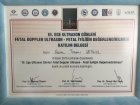 Op. Dr. Birdal Tosyalı Çetinol Kadın Hastalıkları ve Doğum sertifikası