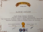 Psk. Buse Sağlam Kutlu Psikoloji sertifikası