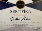 Dt. Selim Tekin Diş Hekimi sertifikası