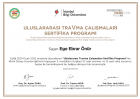 Uzm. Kl. Psk. Ege Ebrar Önür Psikoloji sertifikası
