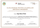 Uzm. Kl. Psk. Ege Ebrar Önür Psikoloji sertifikası