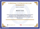 Psk. Melek Yıldız Psikoloji sertifikası
