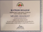 Psk. Melike Uluakay Esen Psikoloji sertifikası