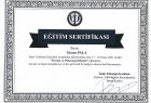 Psk. Gizem Pala Psikoloji sertifikası