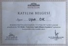 Dr. Öğr. Üyesi Dt. Ufuk Ok Diş Hekimi sertifikası