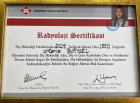 Uzm. Dr. Dt. Merve Bayel Akgül Diş Hekimi sertifikası