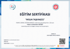 Çocuk Gelişim Aysun Taşkıngül Çocuk Gelişim sertifikası