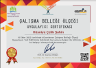 Çocuk Gelişim Uzmanı Hüsniye Çelik Şahin Çocuk Gelişim Uzmanı sertifikası